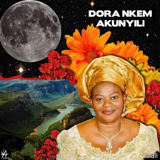 Dora Nkem Akunyili, Nigeria