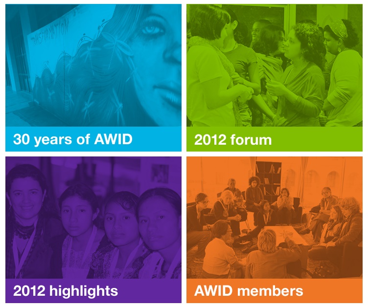 2012 AWID Annual Report EN tile